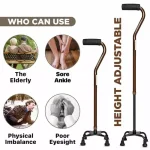 Karma WS-420 Walking Stick - Image 2